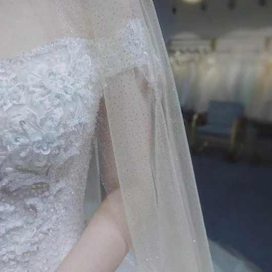 Voile de Mariage, Femmes Maille Ultra-Longue traîne cathédrale Voile de Mariage Romantique Luxe Chatoyant Ciel étoilé Paillettes estampage à Chaud Accessoires de mariée