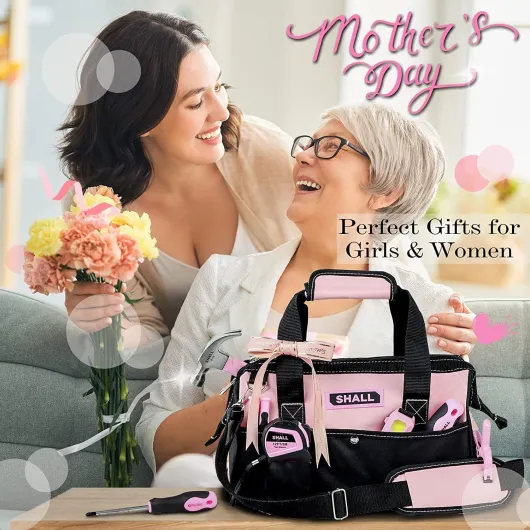 SHALL Ensemble d'outils à main de 246 pièces pour femme, rose, acier forgé, kit d'outils de base pour la maison